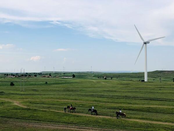 《绿原之上，牧风同业》综合治理部-王嫣然.jpg