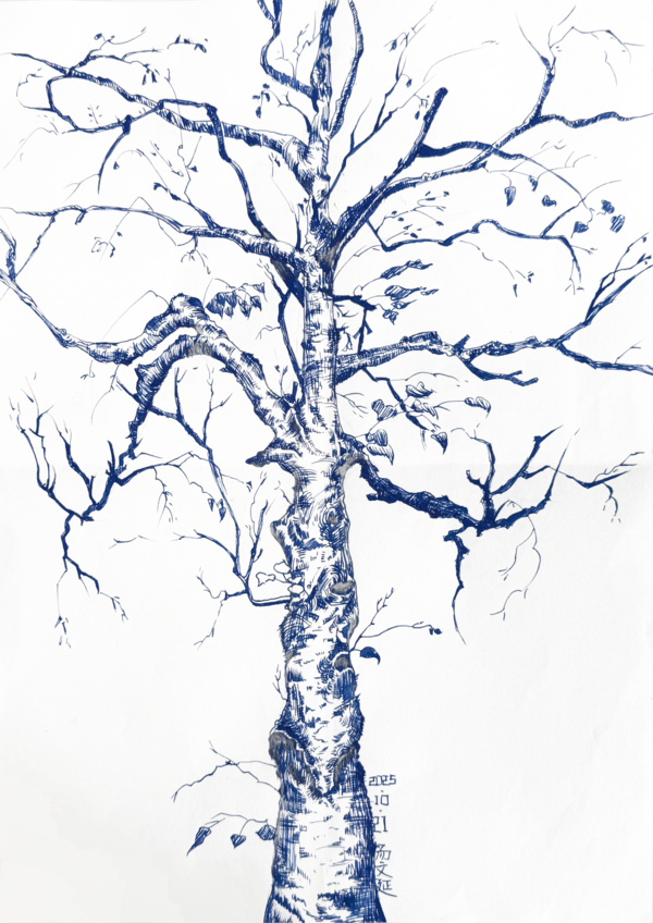 汤文延 钢笔快写.png