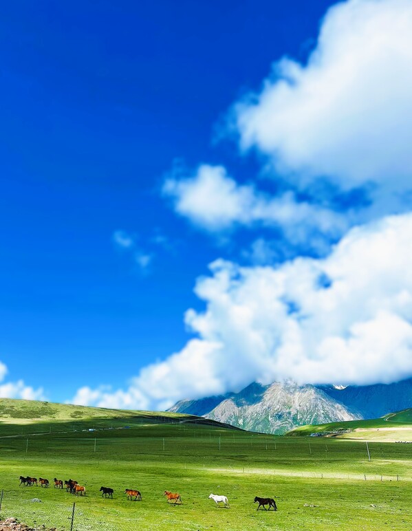 《天际牧歌·生态铭》昌都抽蓄公司   张佳丽.jpg