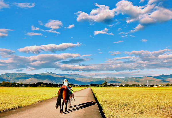 深秋旷野-严镇威 摄.JPG