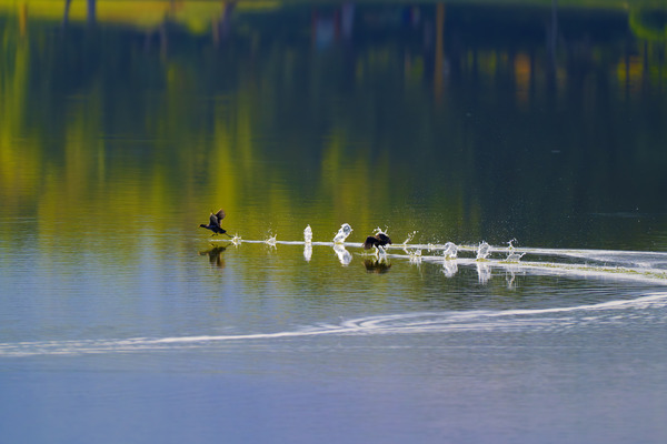 cb1bf133ee7b49ff9ad717acfa545dc6 (1).jpg